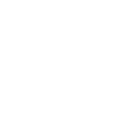 Nash Pictures Logo in white